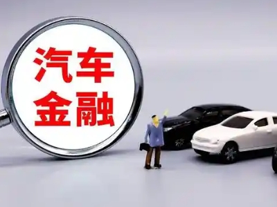 柳北押车贷款不是本人可以么?